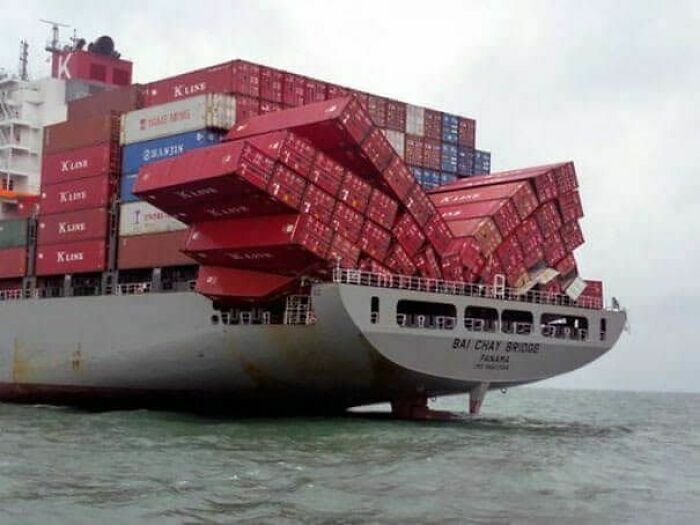 Aquí vemos a un buque salvaje de transporte mostrando su cola para atraer a un buque hembra