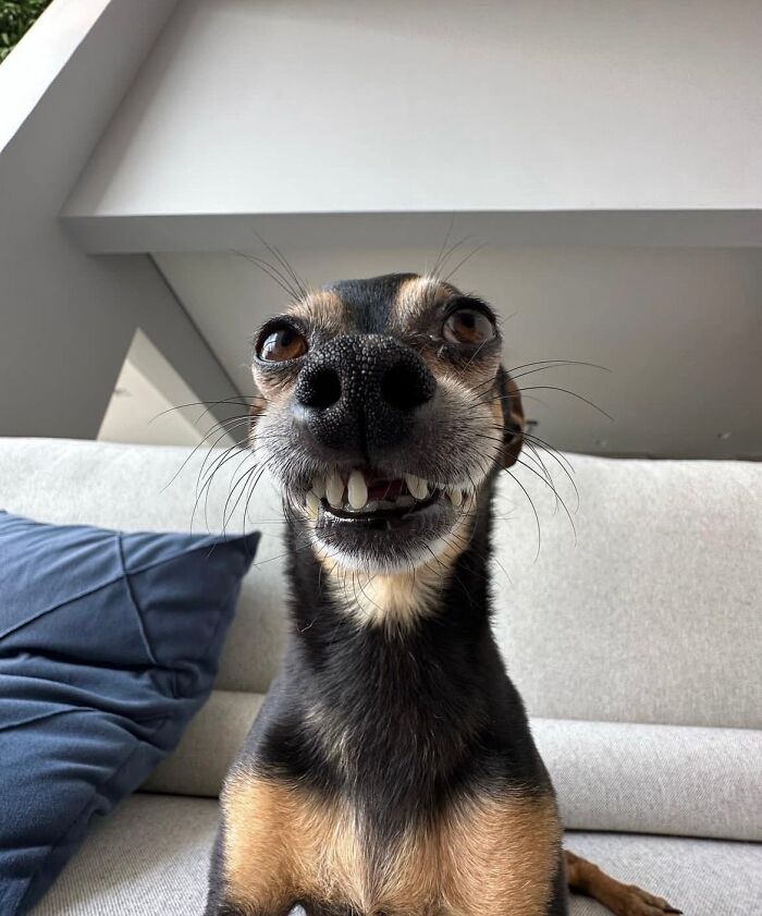 ¡Viernes!