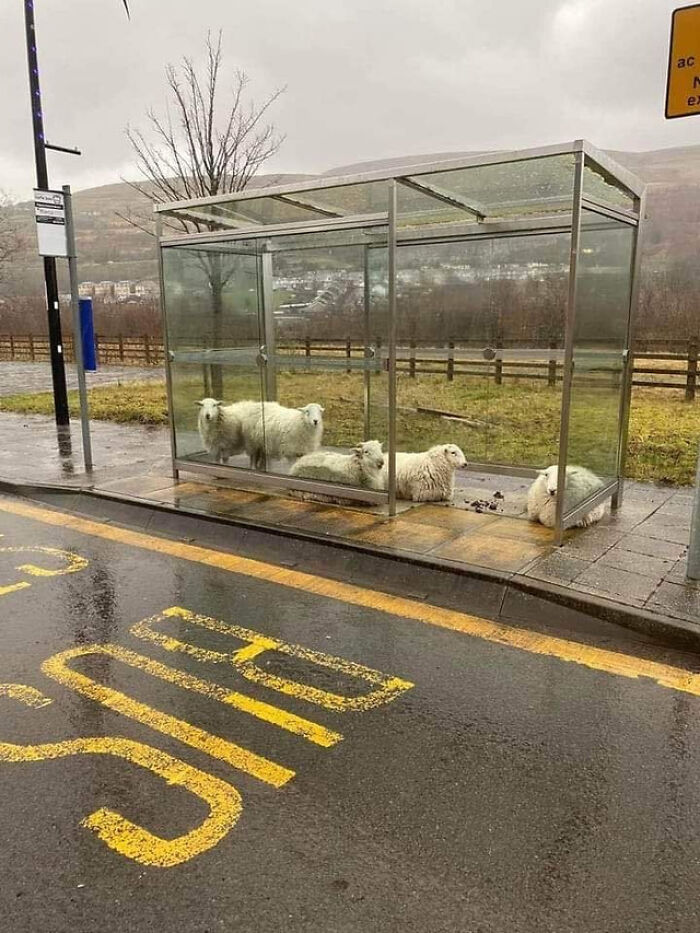 Un día lluvioso en Irlanda