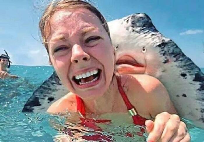 These Instagram Pages Are Dedicated To Bizarre Images That Are Not Pleasant To The Eye, Here Are 50 Of The Worst