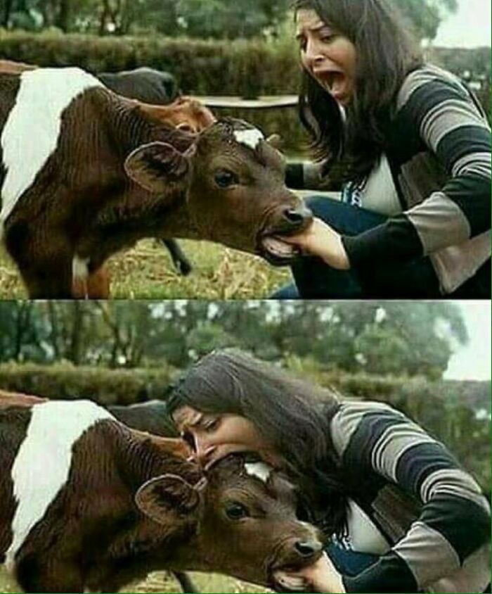 These Instagram Pages Are Dedicated To Bizarre Images That Are Not Pleasant To The Eye, Here Are 50 Of The Worst