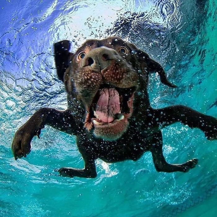 50 Of The Best Amusing Photos Shared On This Instagram Page With More Than 85K Followers