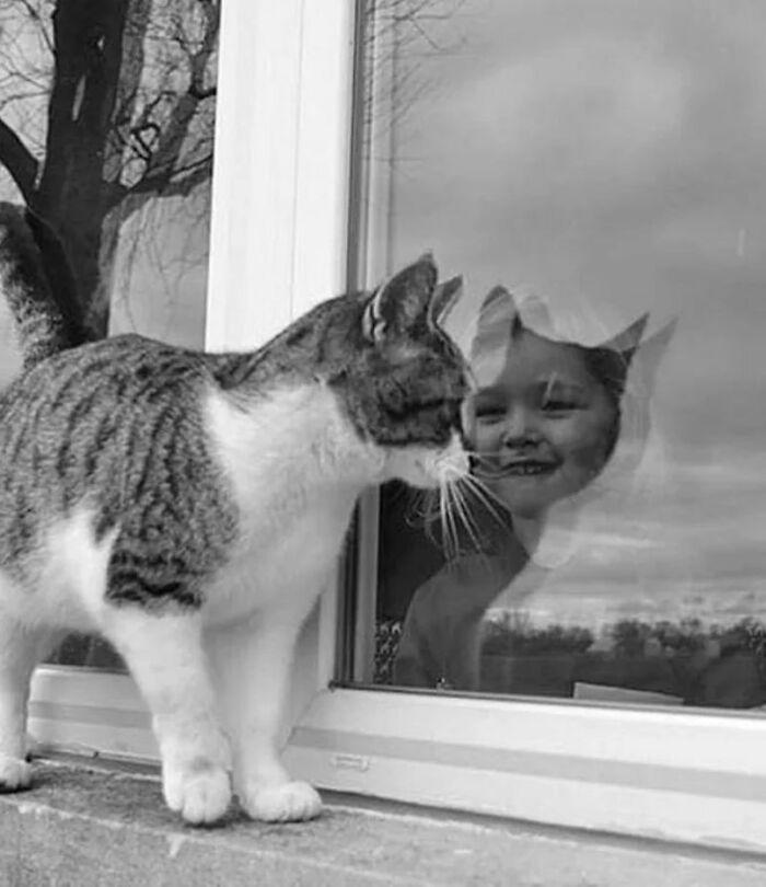 50 Of The Best Amusing Photos Shared On This Instagram Page With More Than 85K Followers