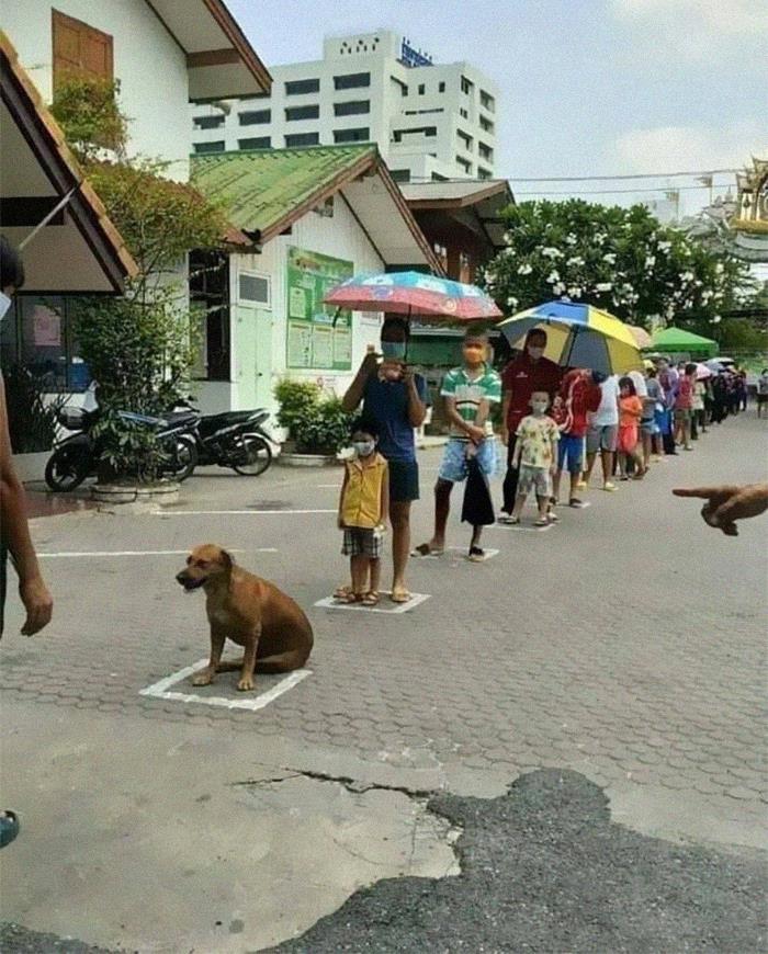 50 Times People Spotted Animals In Places They Shouldn't Be And Just Had To Document It