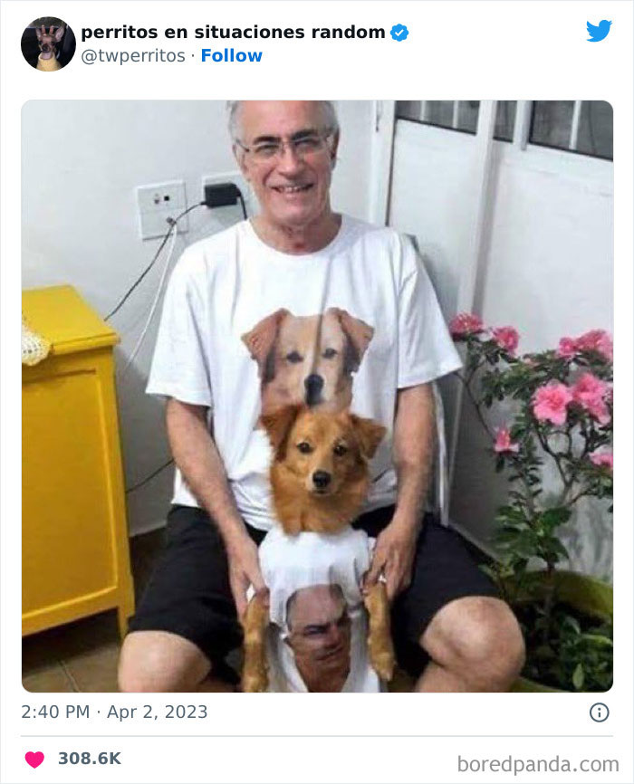 50 ‘Puppies In Random Situations’ That Might Just Heal Your Soul