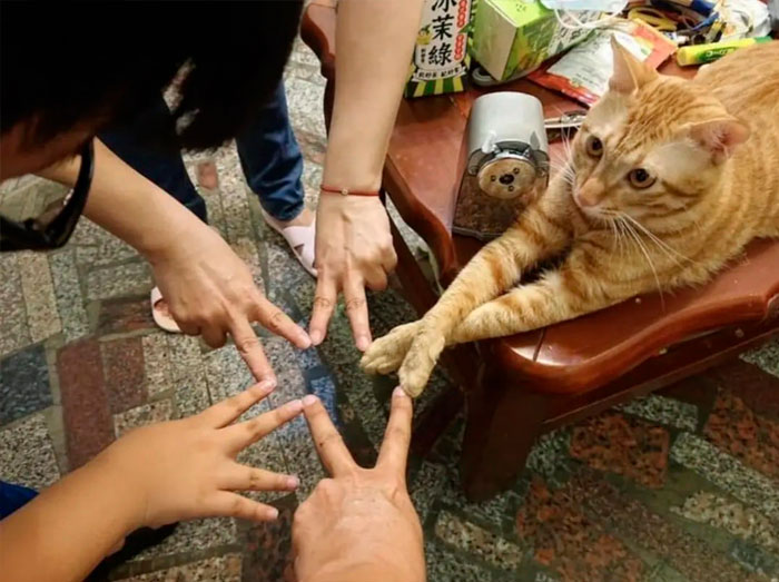 “Important Images”: 50 Unhinged Pics That Are Hard To Believe Are Real