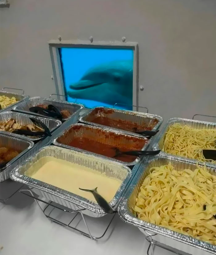 “Important Images”: 50 Unhinged Pics That Are Hard To Believe Are Real