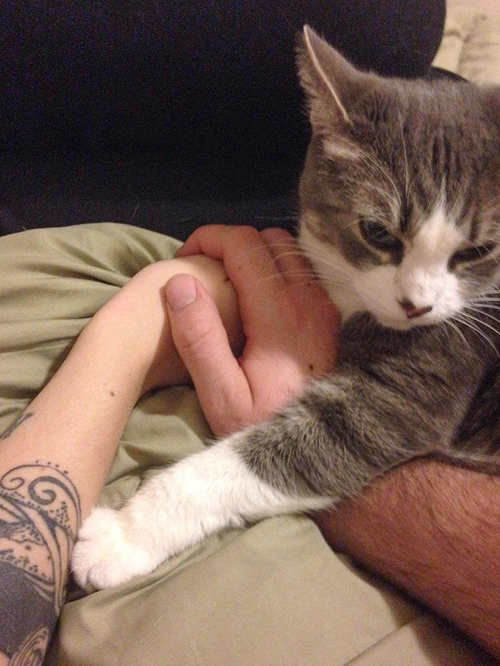 Mi novia y yo estábamos tomados de la mano. Luego, ocurrió esto
