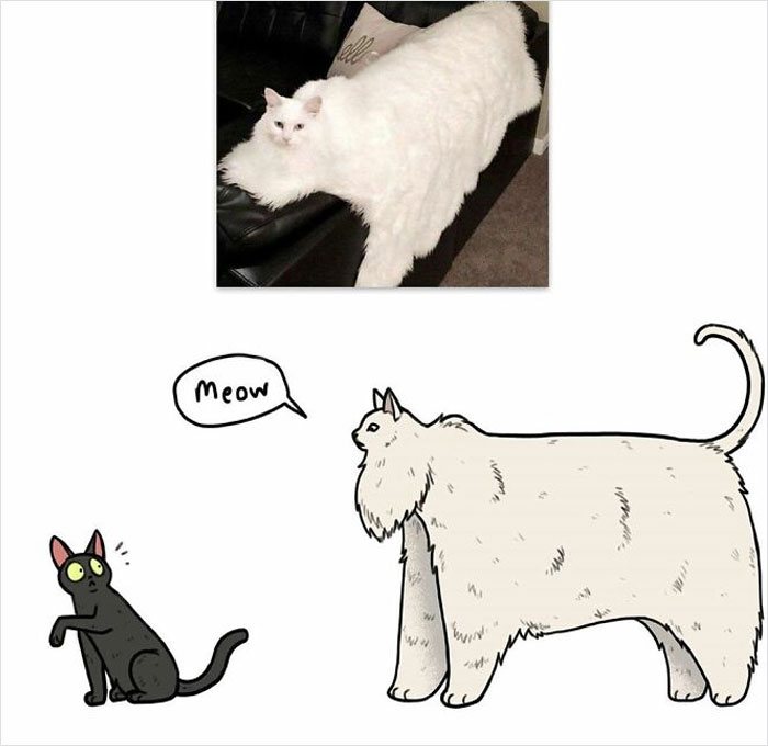 50 Of The Most ‘Blursed’ Images That Are As Blessed As They’re Cursed