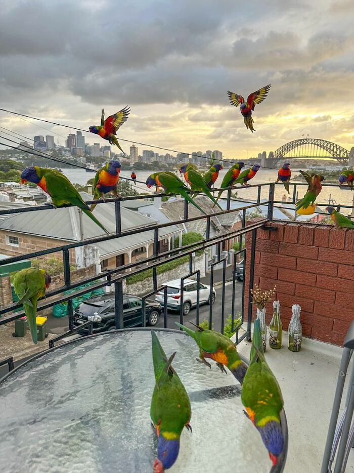 Mi balcón en Sídney, Australia 