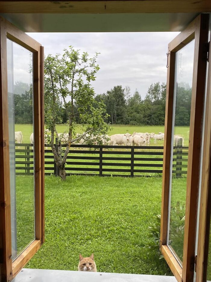 Foto desde mi ventana en Estonia 