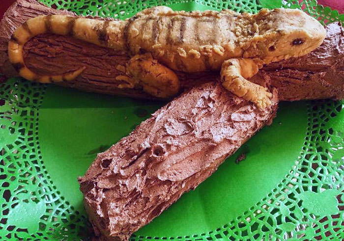 Quería un dragón barbudo para mi cumpleaños, así que mi madre me hizo uno. En forma de tarta. Ella es increíble