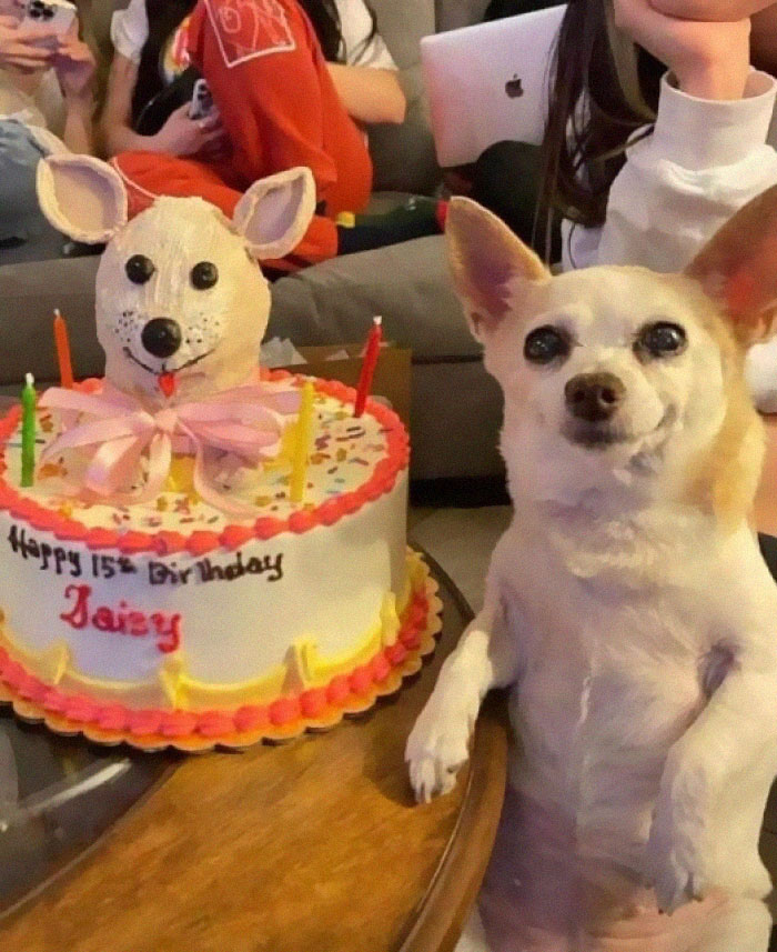 30 Wholesome Pics To Remind You There's Good In The World, As Shared On "Blessed Imageposting"