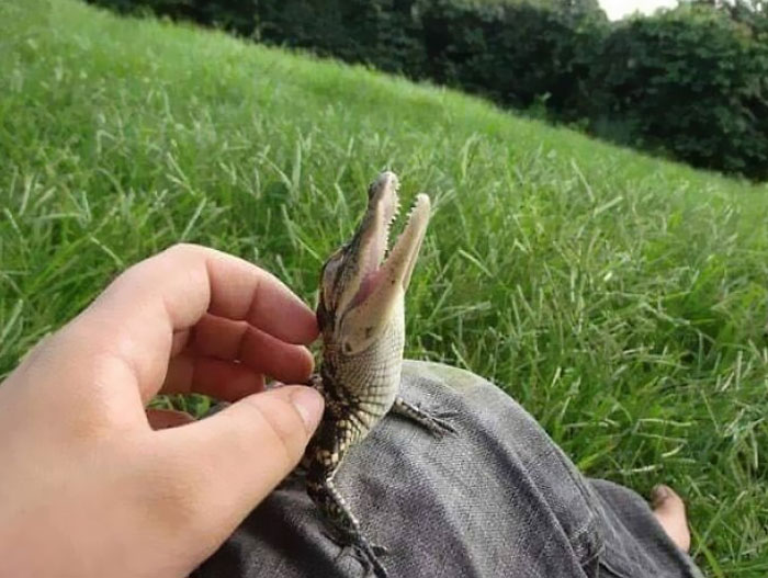 30 Wholesome Pics To Remind You There's Good In The World, As Shared On "Blessed Imageposting"