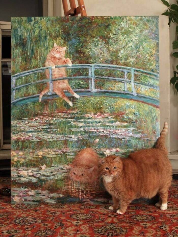 30 Wholesome Pics To Remind You There's Good In The World, As Shared On "Blessed Imageposting"