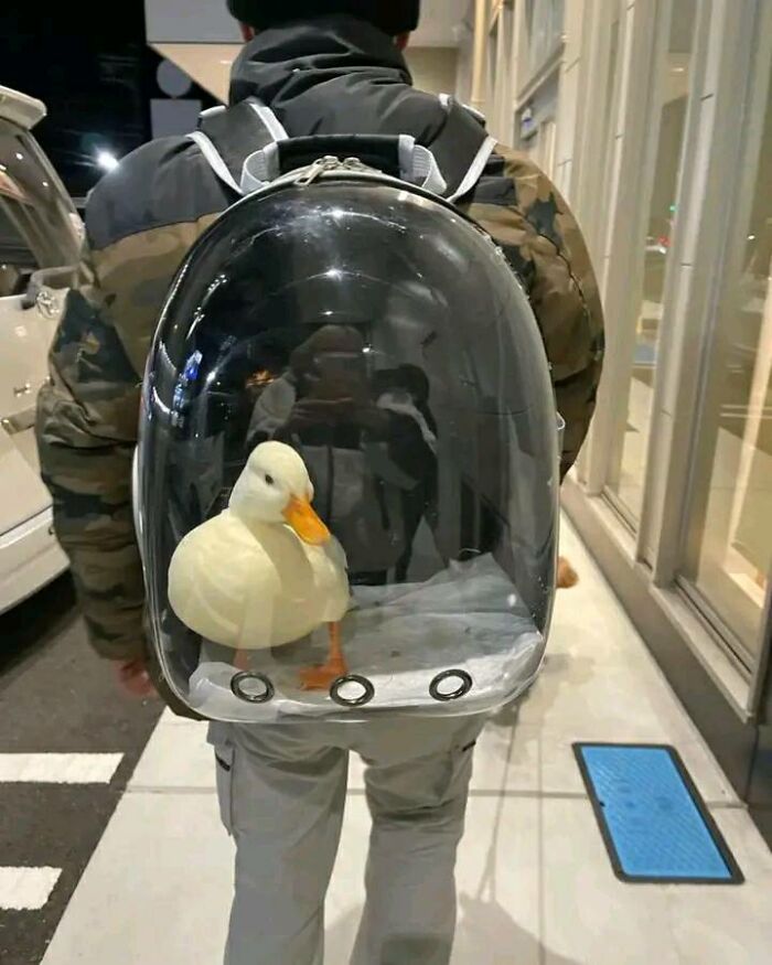 30 Wholesome Pics To Remind You There's Good In The World, As Shared On "Blessed Imageposting"