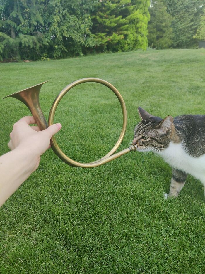 30 Wholesome Pics To Remind You There's Good In The World, As Shared On "Blessed Imageposting"