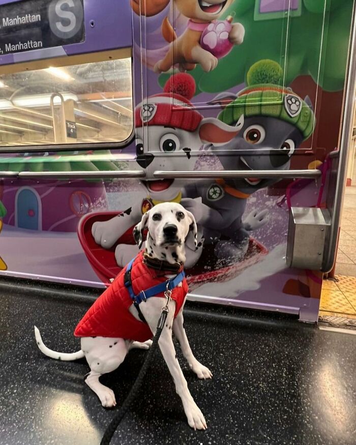 30 Of The Funniest Photos Of People Sitting Under Subway Signs That Resemble Them, As Shared On ‘Subway Creatures’