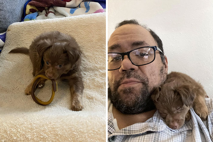 Os presentamos al nuevo miembro de la familia: ¡Charlie Brown!