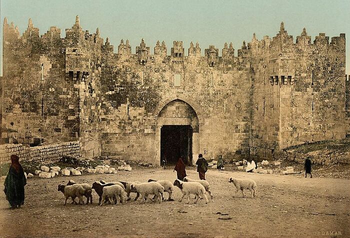 Puerta de Damasco, una de las principales puertas de la Ciudad Vieja de Jerusalén. Imperio Otomano, 1890
