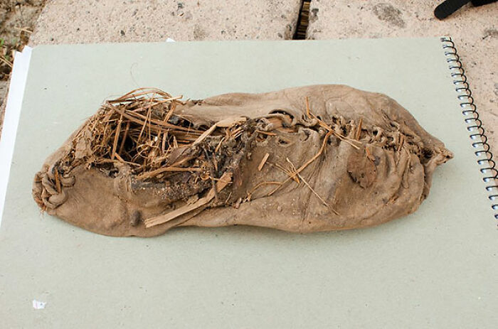 El zapato más antiguo (5.500 años)