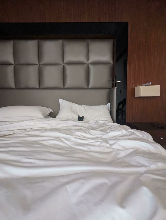 Toda la cama para ella