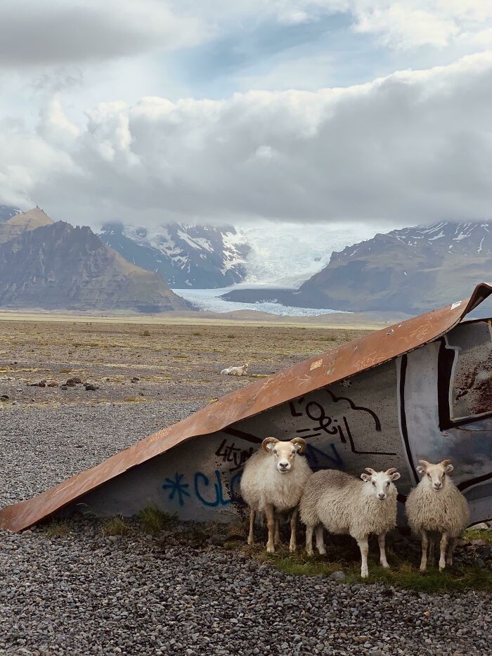 Viajamos por Islandia porque no pudimos ir a otro sitio. Encontré a estos chicos resguardándose del viento