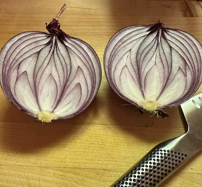El interior de esta cebolla morada parece una flor de loto 