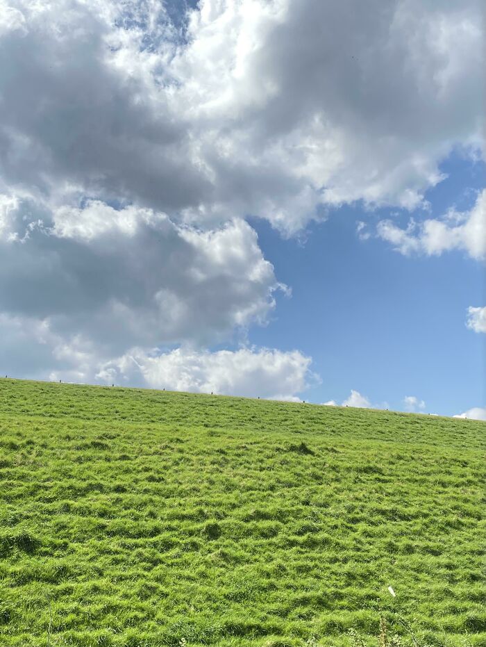 Ayer pasé por Windows XP 