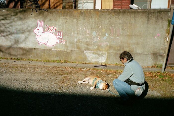 40 New Photos That Show What Daily Life In Japan Looks Like By Photographer Shin Noguchi