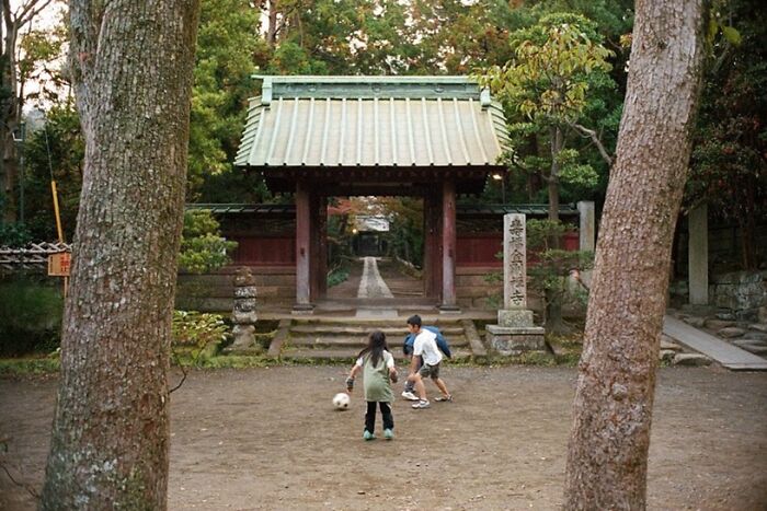 40 New Photos That Show What Daily Life In Japan Looks Like By Photographer Shin Noguchi