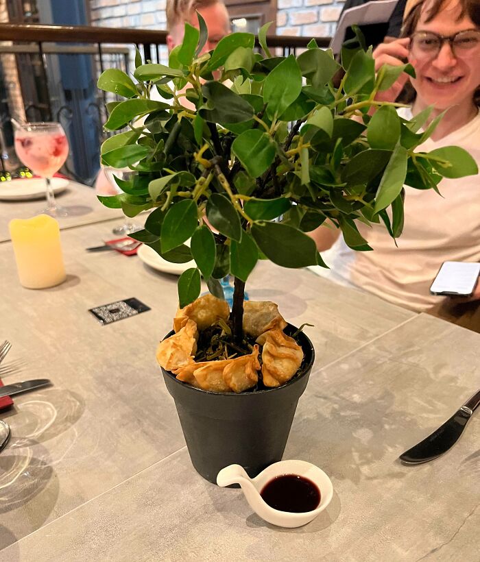 Ten unas gyoza con esta planta en su maceta