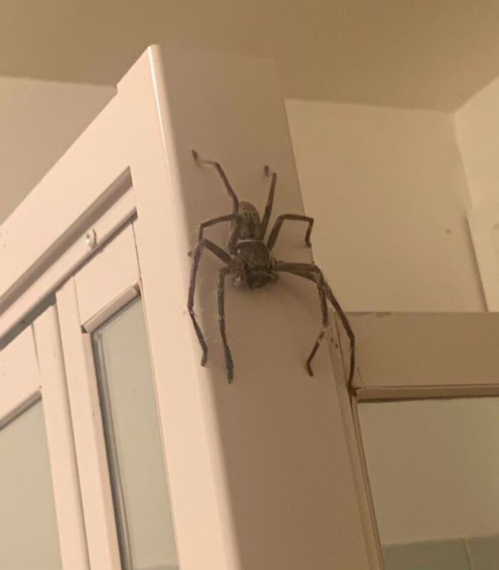 Me dijeron que lo publicara aquí. Relajada casualmente en el baño de nuestra casa de playa