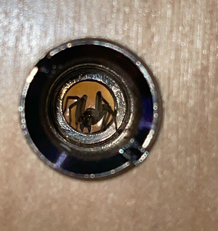 Araña escondida en la mirilla de mi apartamento