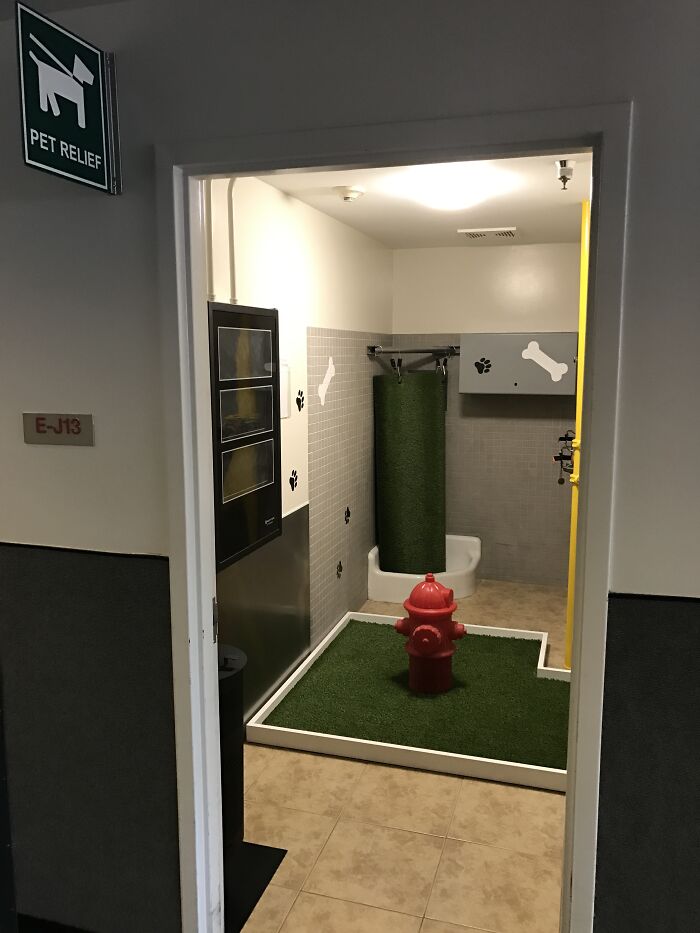 Estación para que las mascotas hagan sus necesidades en el aeropuerto