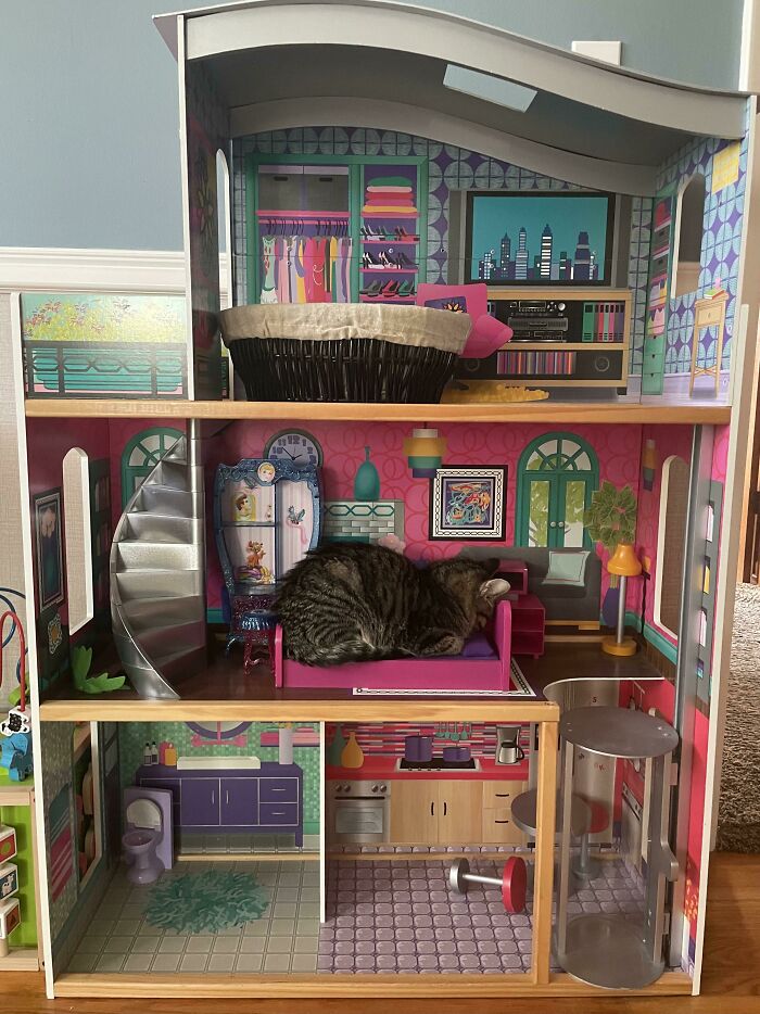 Me dijeron que publicara esto aquí. Taco en cuclillas en la cama de Barbie
