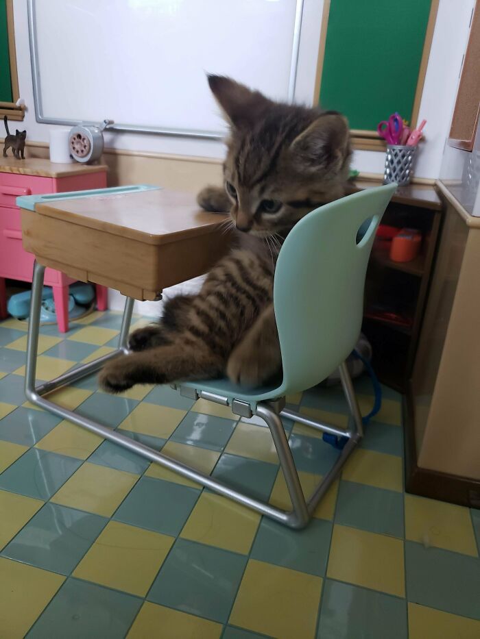 Me dijeron que mi amiguito pertenece a este lugar