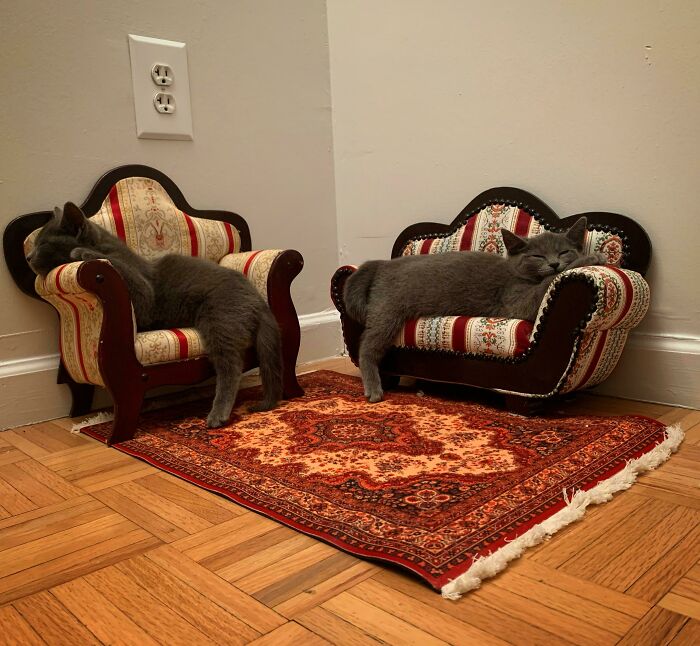 He oído que podría gustarles mi pequeño salón