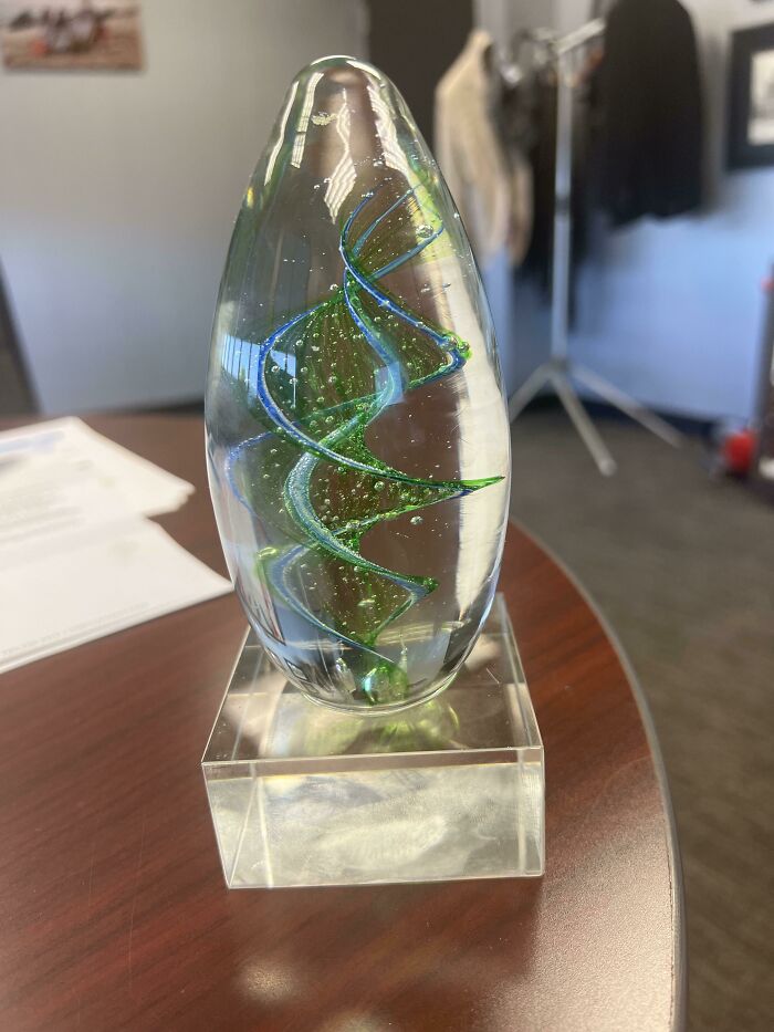 Recibí este premio... estoy en el negocio de los seguros