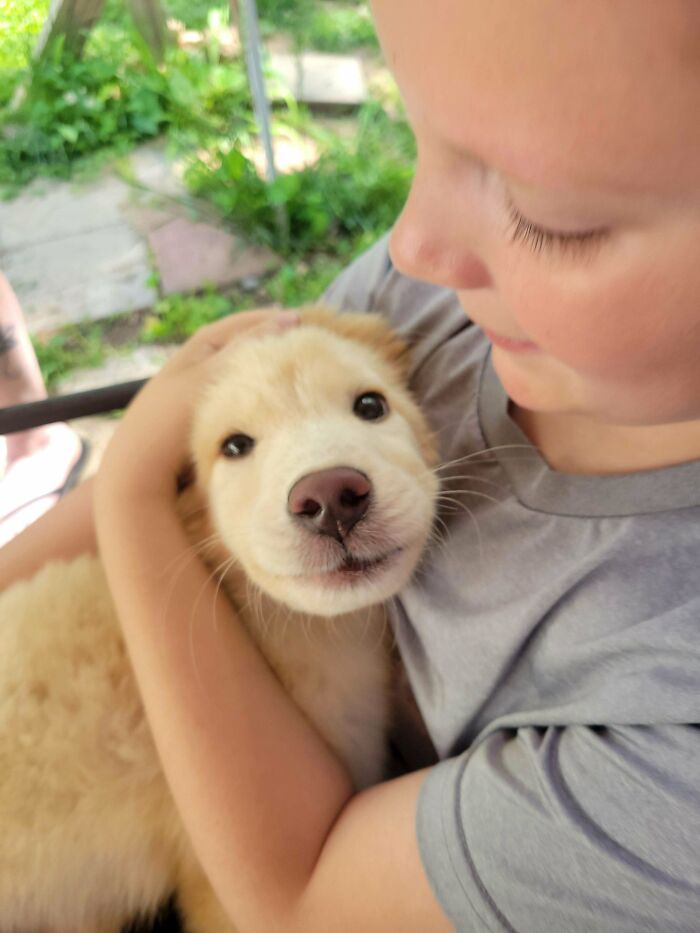 Mi sobrino con su nuevo cachorro
