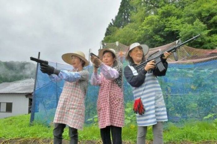 Dato curioso: Un pueblo rural japonés asediado por monos es defendido por tres ancianas armadas con pistolas de aire comprimido que se hacen llamar las 