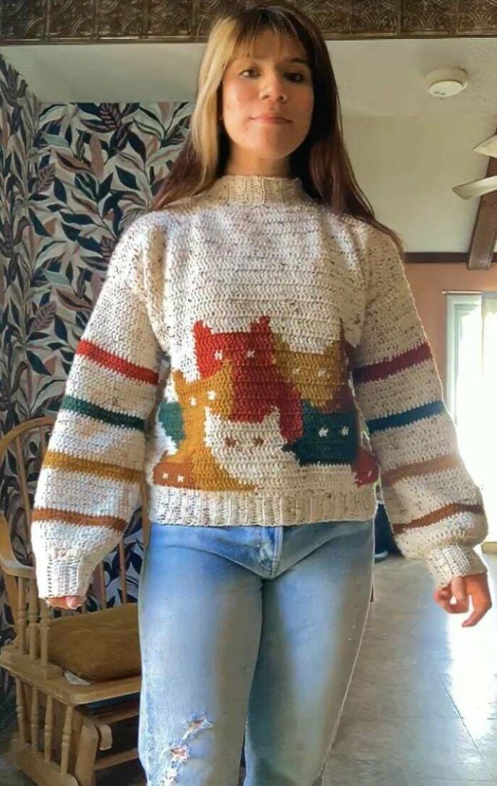 Mi jersey de gatitos