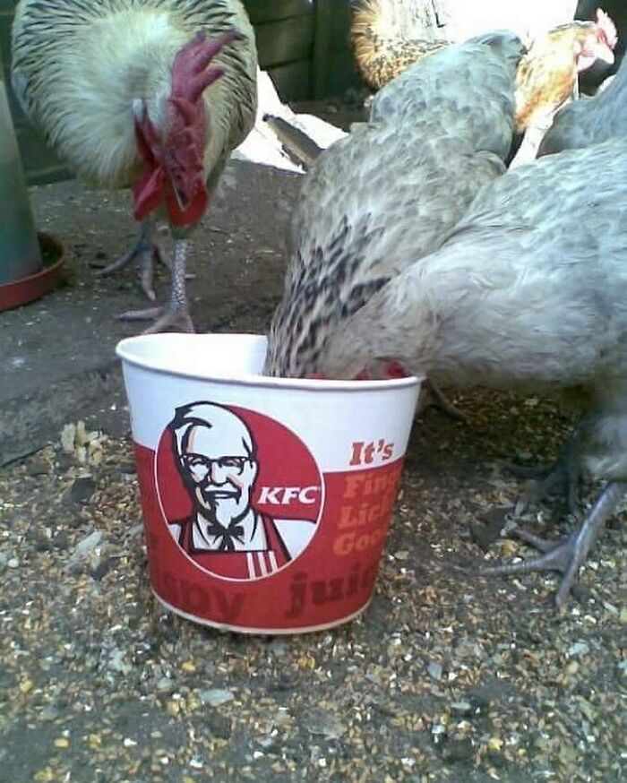 This Page Collects 'Cursed' Images, And Here Are 50 Of The Worst Ones