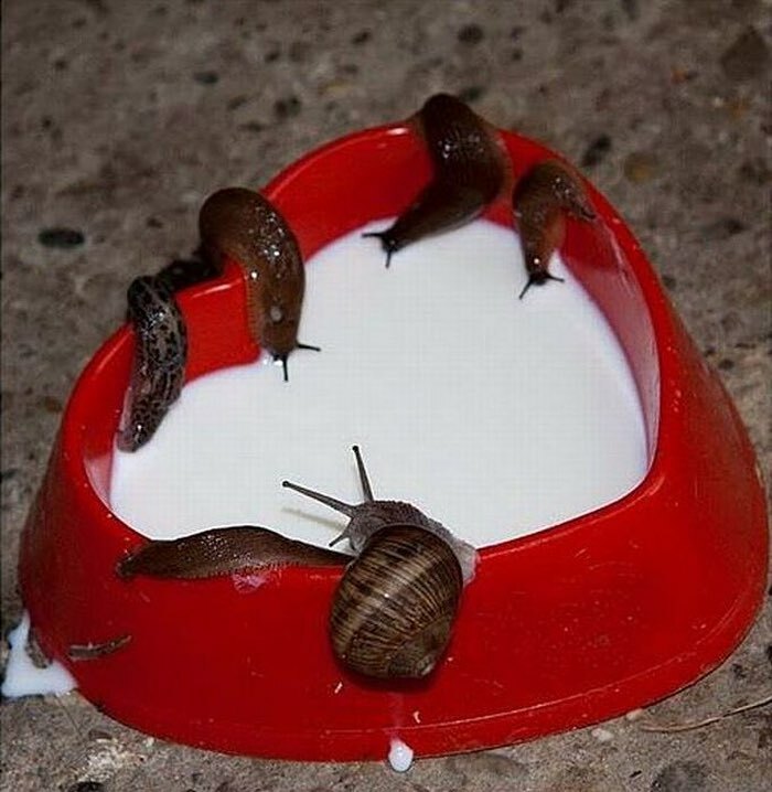 This Page Collects 'Cursed' Images, And Here Are 50 Of The Worst Ones
