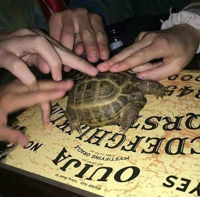 This Page Collects 'Cursed' Images, And Here Are 50 Of The Worst Ones