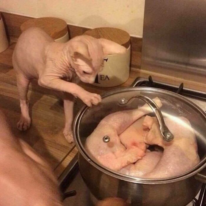 This Page Collects 'Cursed' Images, And Here Are 50 Of The Worst Ones