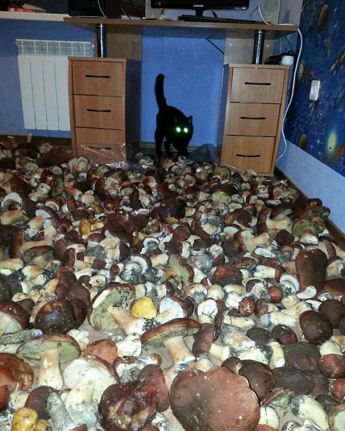 This Page Collects 'Cursed' Images, And Here Are 50 Of The Worst Ones
