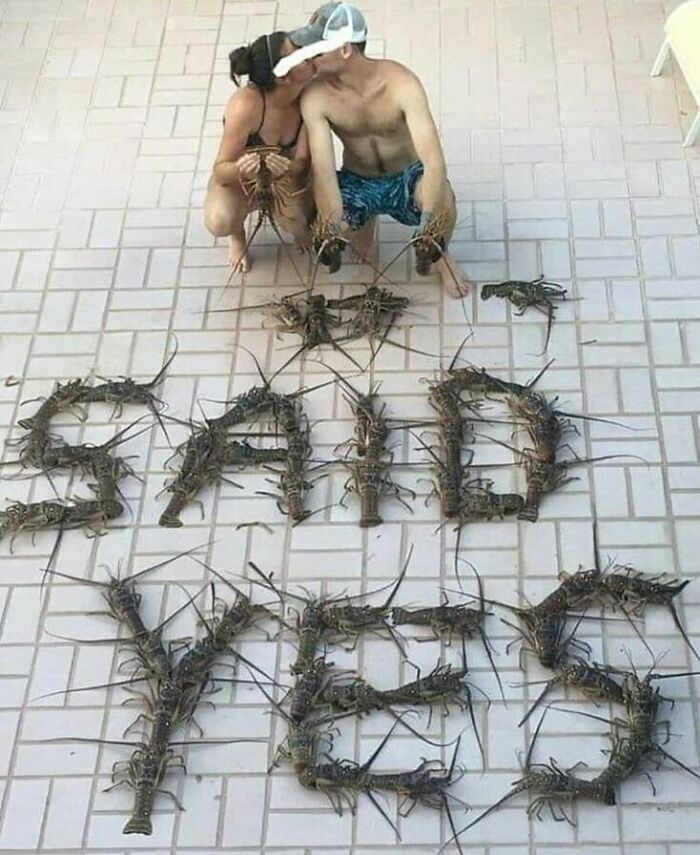 This Page Collects 'Cursed' Images, And Here Are 50 Of The Worst Ones