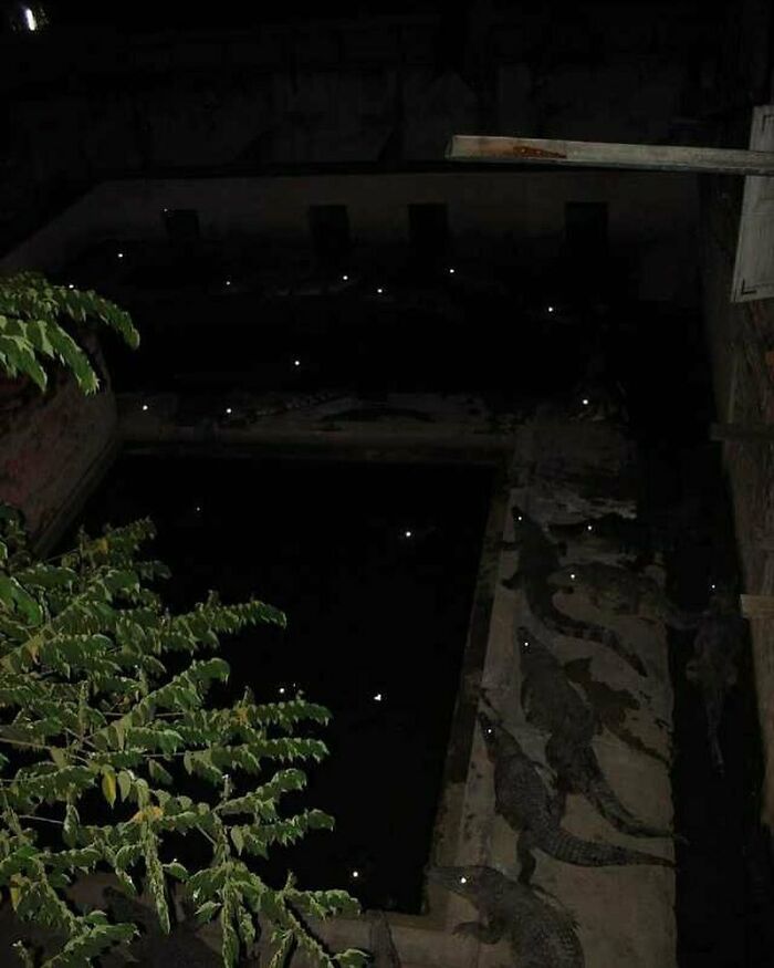 This Page Collects 'Cursed' Images, And Here Are 50 Of The Worst Ones