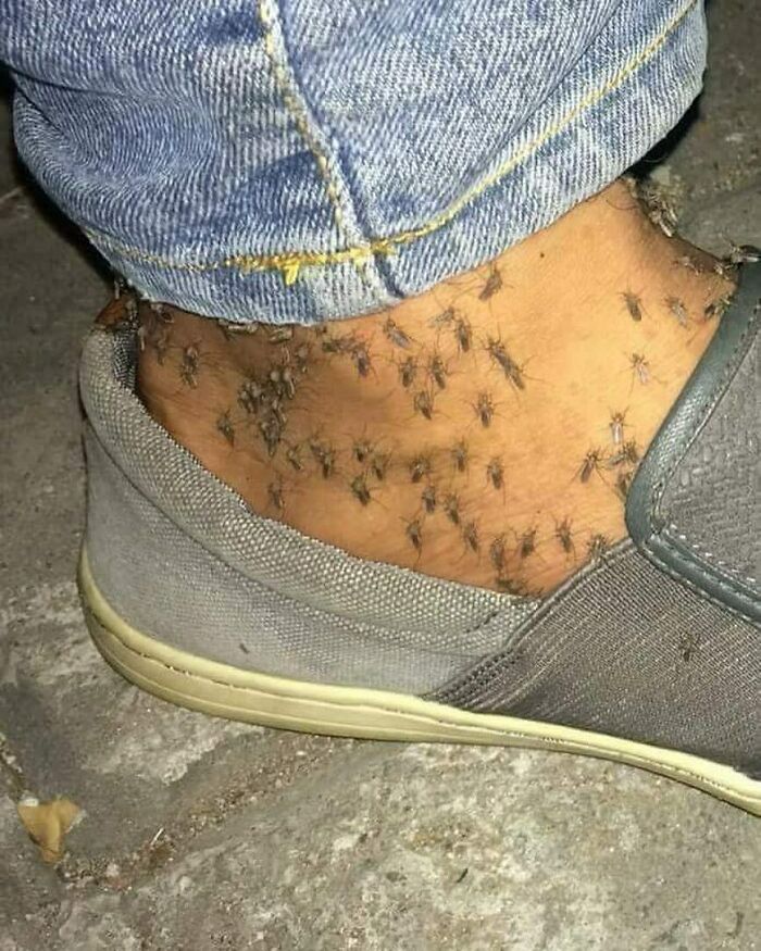This Page Collects 'Cursed' Images, And Here Are 50 Of The Worst Ones